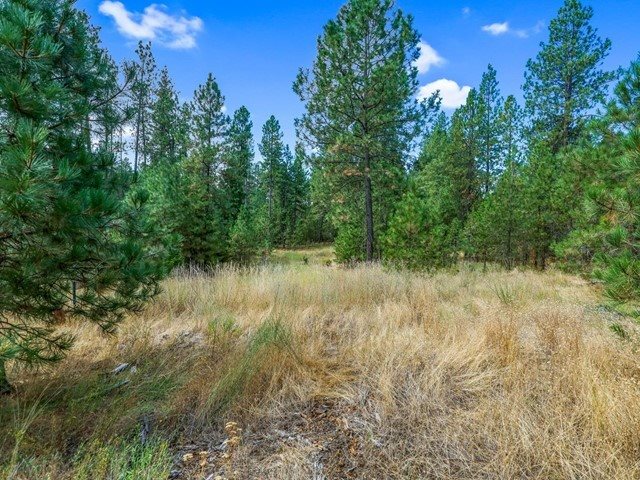 8920 Cheney Spokane Road Spokane, WA 99224 - Photo 17 of 44