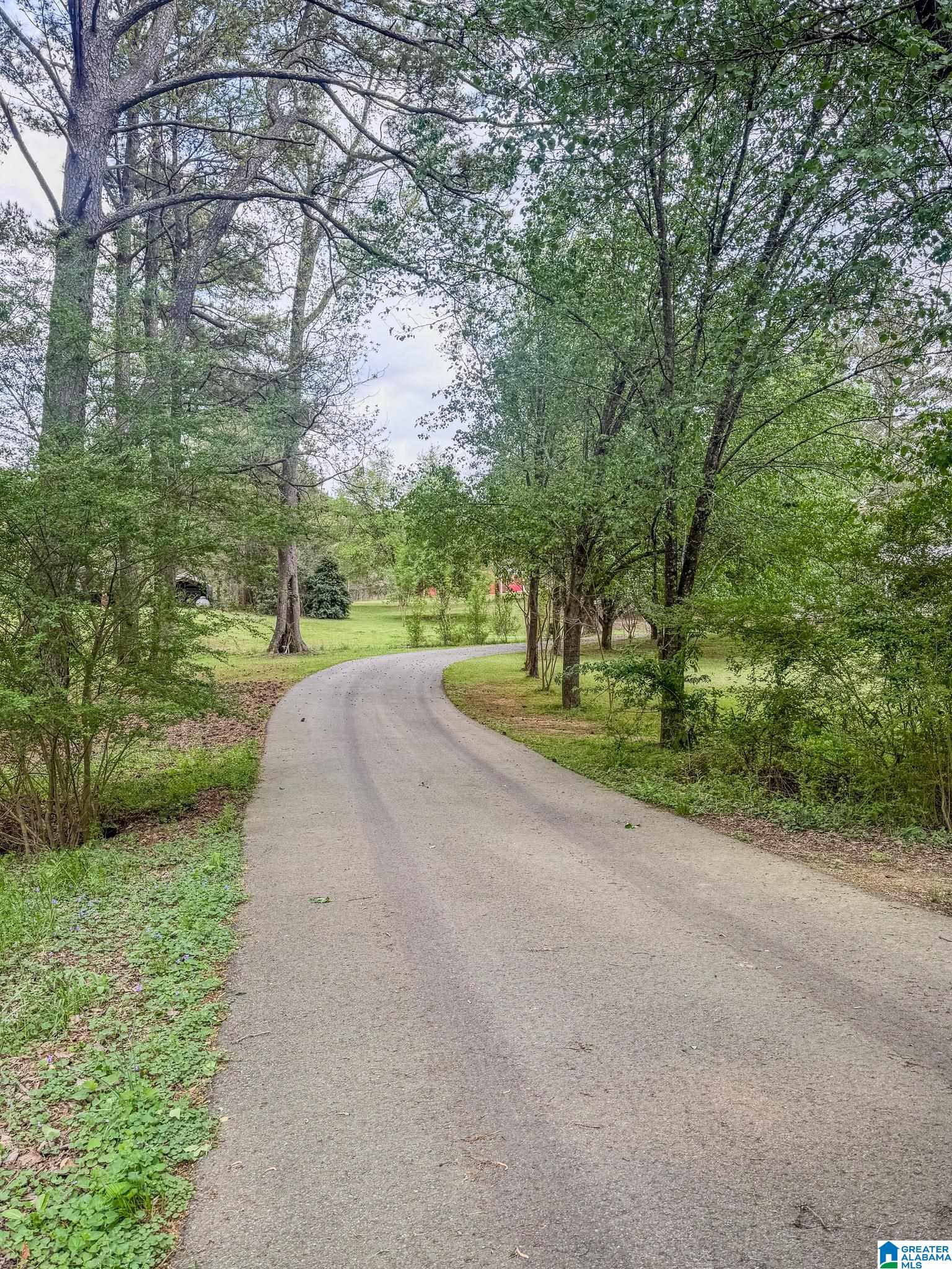 1978 Warrior Jasper Road Warrior, AL 35180 - Photo 2 of 99