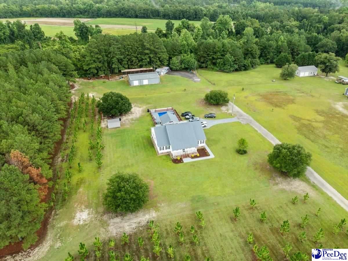 4275 State Rd S-21-359 Johnsonville, SC 29555 - Photo 5 of 44 Gallery Image 5