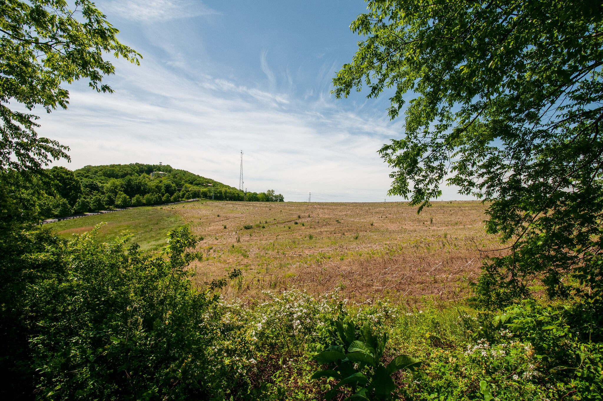 143 Circuit Road Franklin, TN 37064 - Photo 27 of 28 Gallery Image 27