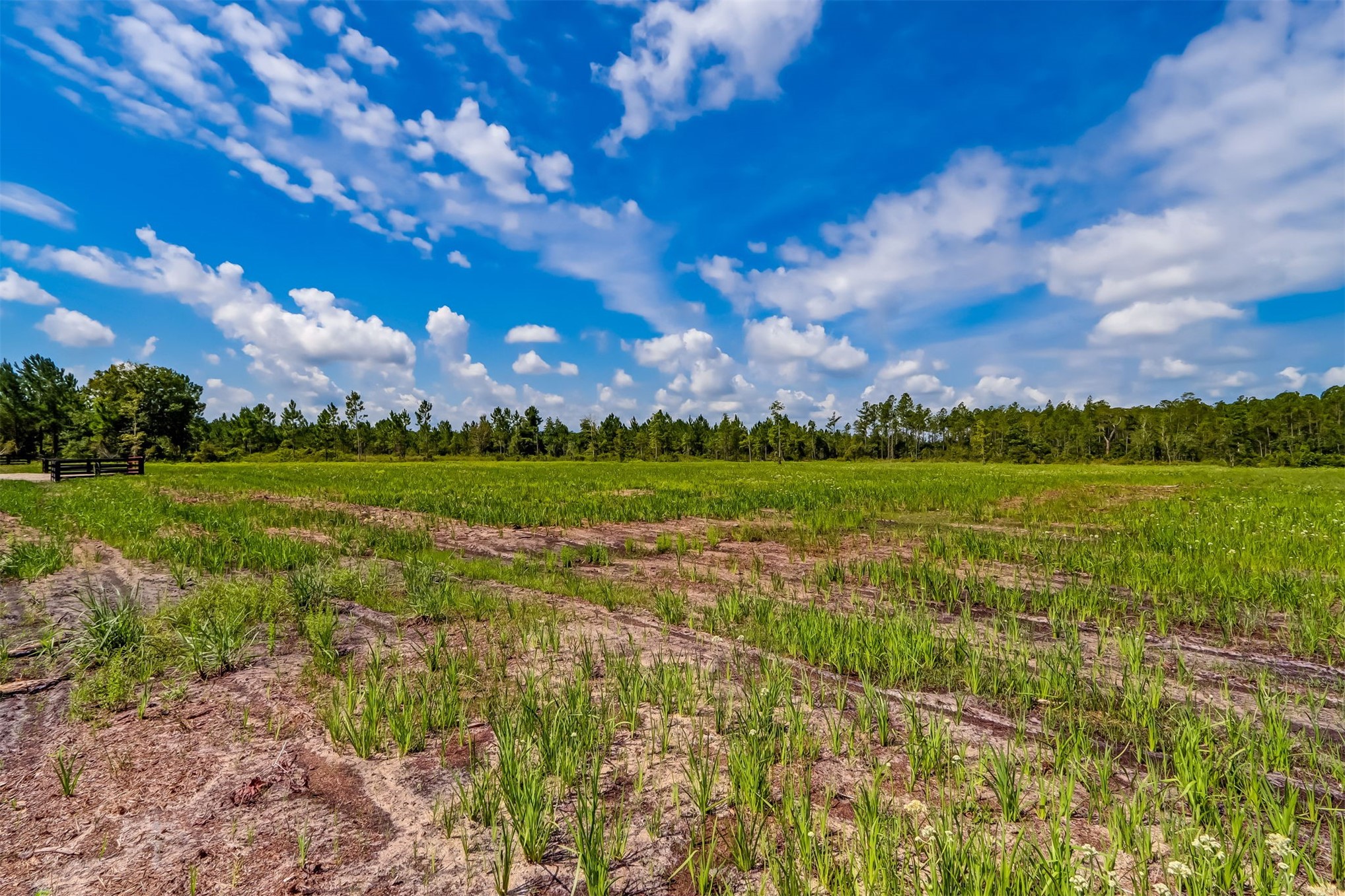 Lot 1 Georgia Street Hilliard, FL 32046 - Photo 5 of 14