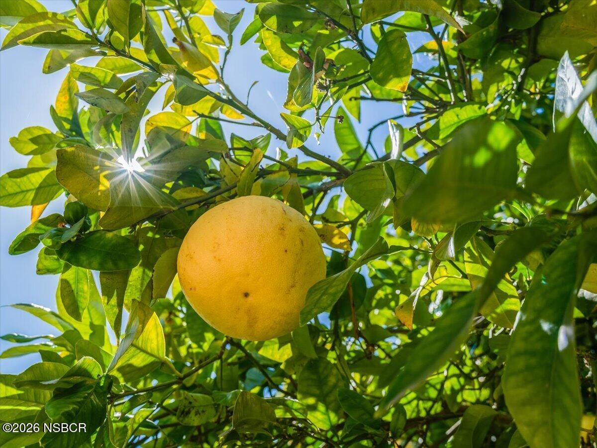 4621 Woodmere Road Santa Maria, CA 93455 - Photo 44 of 56 43-robrijnenphotography-4621WoodmereRd-4
