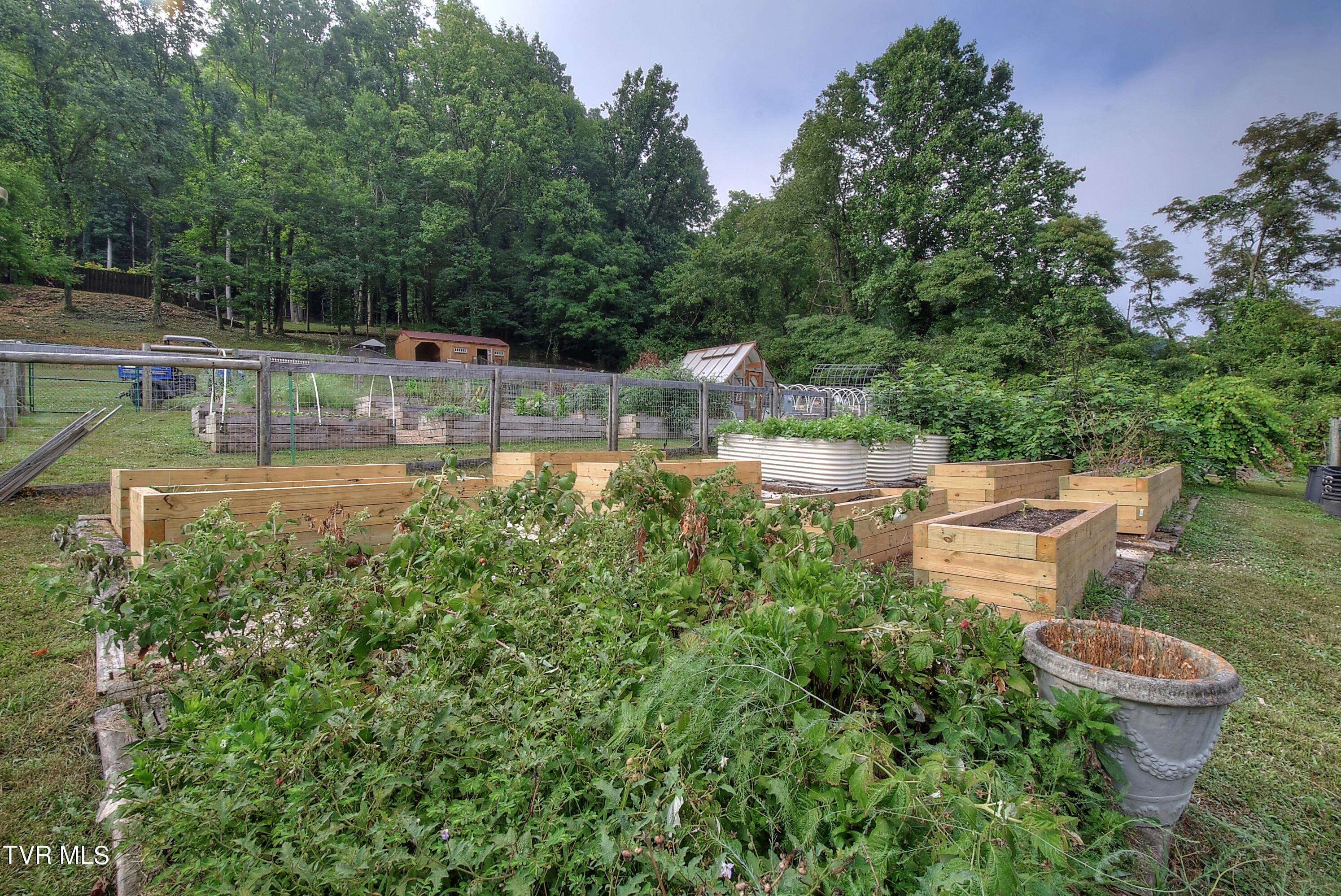 329 Hidden Valley Road Kingsport, TN 37663 - Photo 55 of 60 60