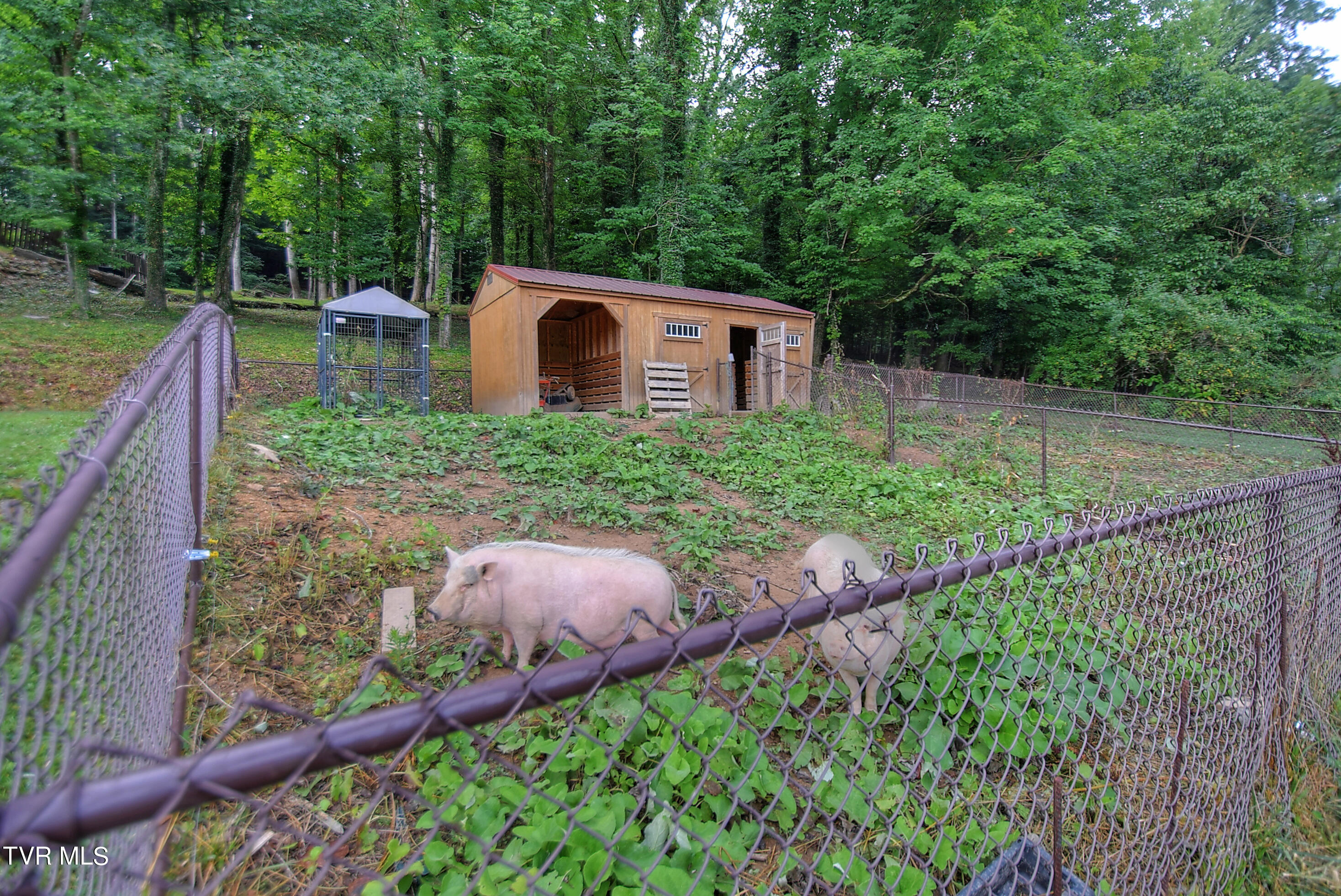 329 Hidden Valley Road Kingsport, TN 37663 - Photo 56 of 60 61