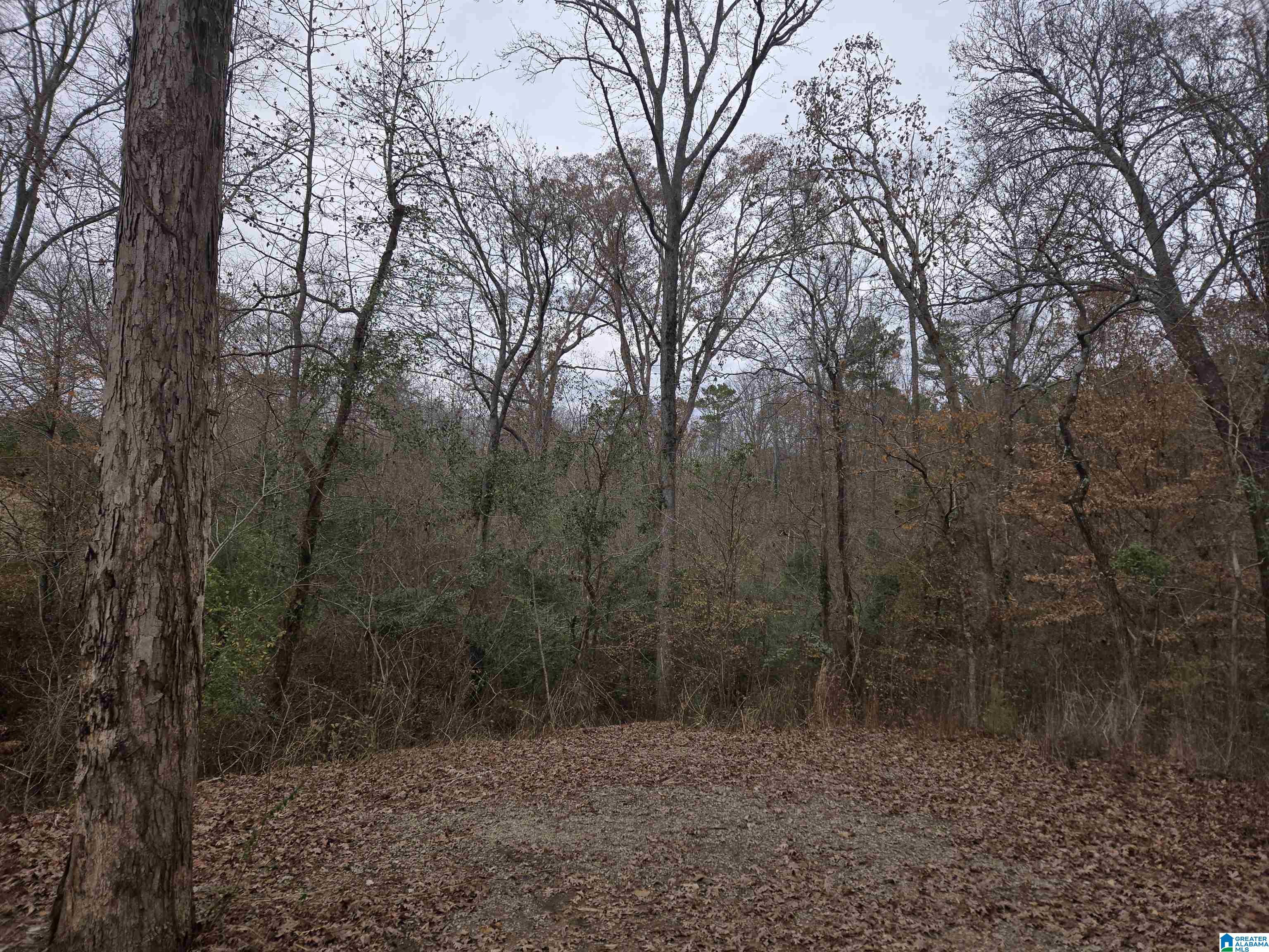 33299 Highway 79 Cleveland, AL 35049 - Photo 18 of 24