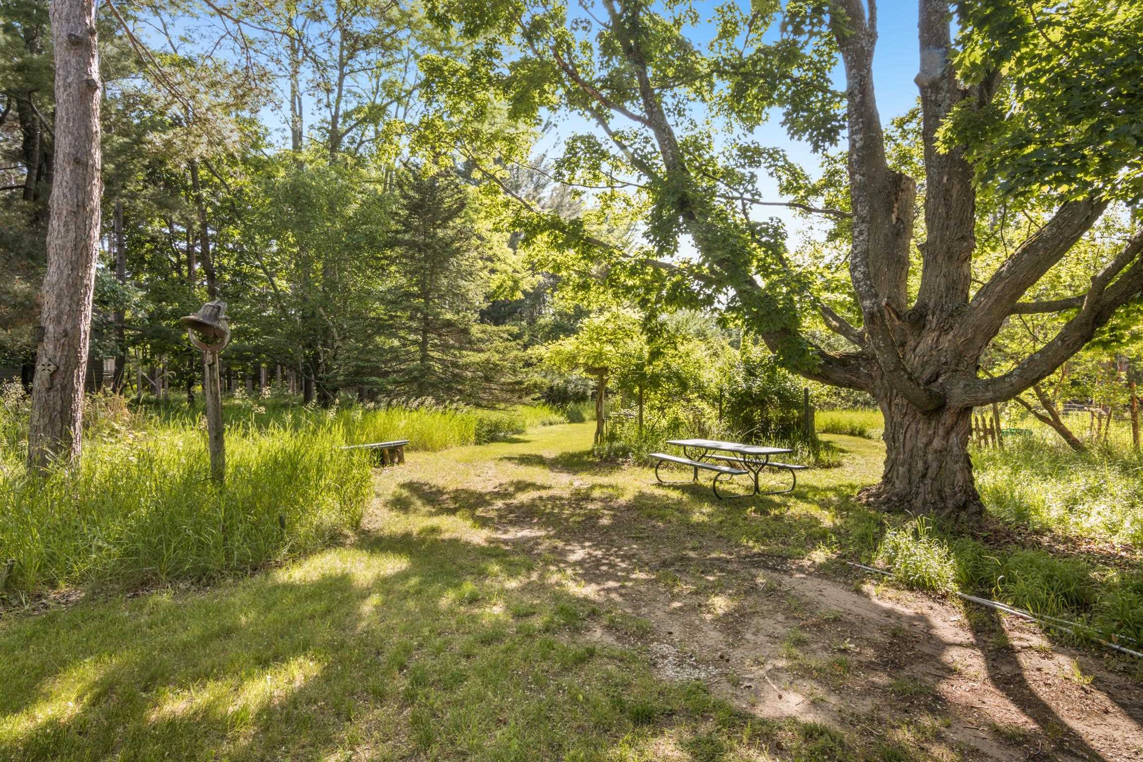 11256 South Lacore Road Empire, MI 49630 - Photo 52 of 55