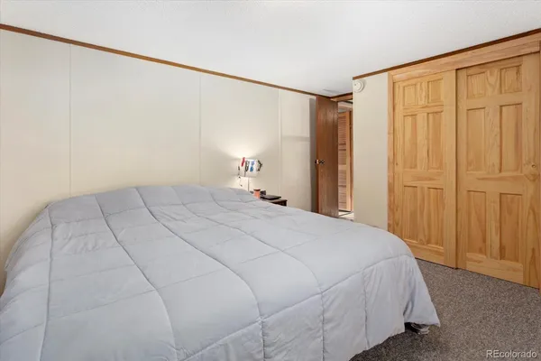 a bedroom with a bed and a closet