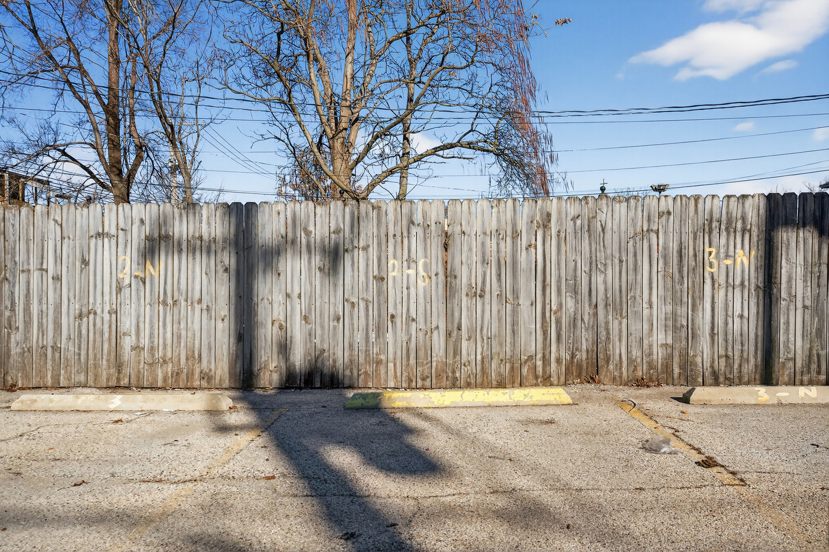 4646 South Prairie Avenue, Unit 2S Chicago, IL 60653 - Photo 29 of 32 a backyard of a house