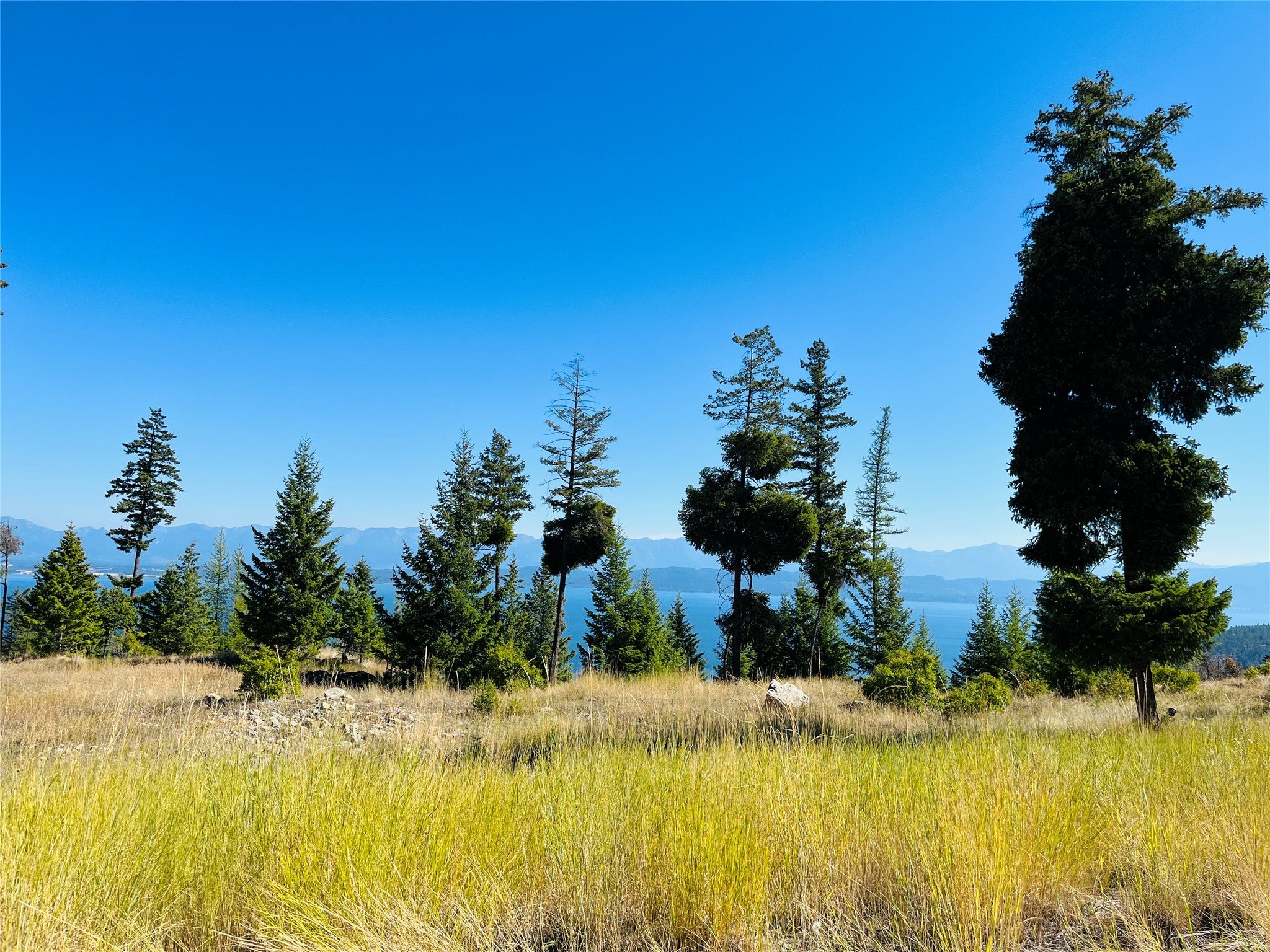 209 Ridge Line Drive Lakeside, MT 59922 - Photo 1 of 1 Gallery Image 1