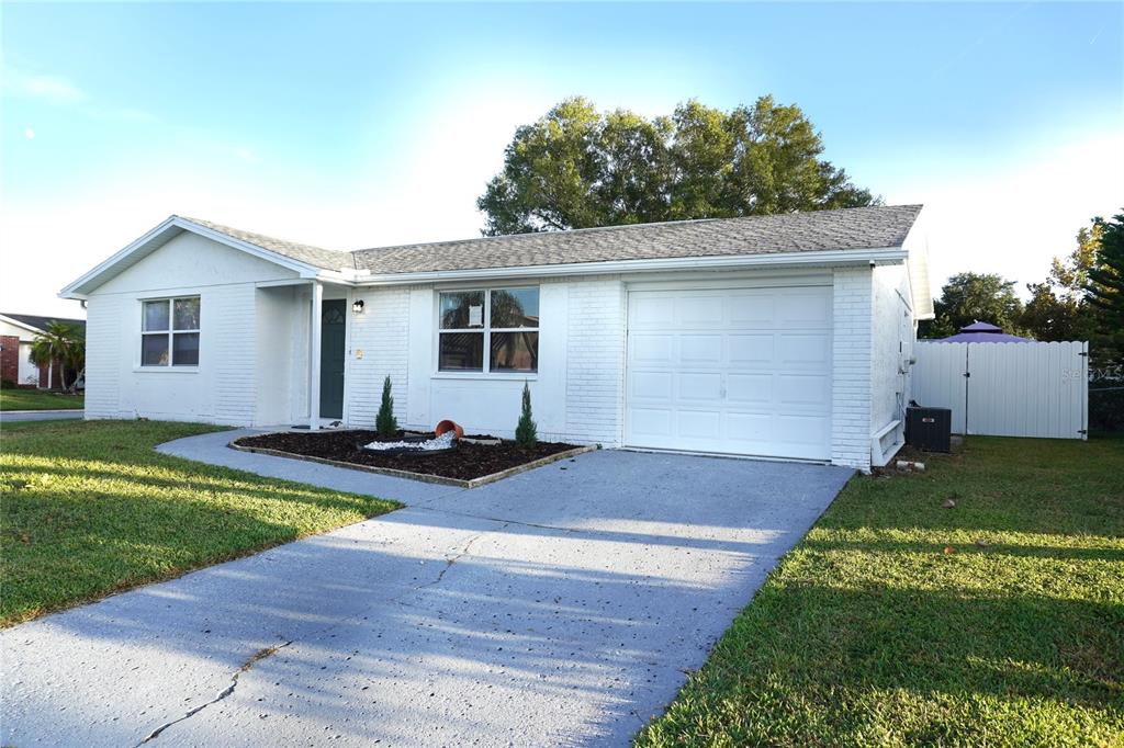 6314 Keller Drive Port Richey, FL 34668 - Photo 19 of 38