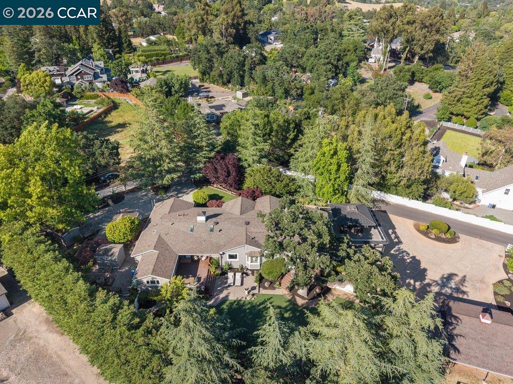 189 Oak Road Alamo, CA 94507 - Photo 77 of 86