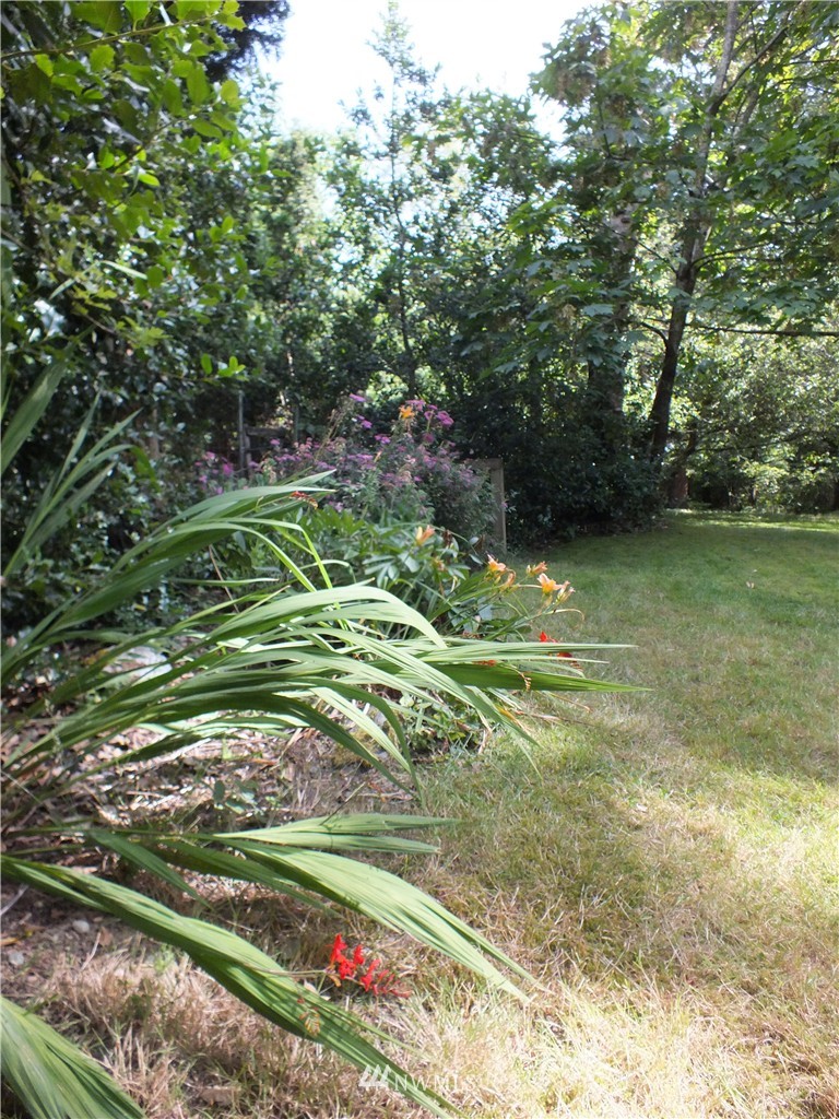 871 McLeod Road Bellingham, WA 98226 - Photo 22 of 25 Gallery Image 22