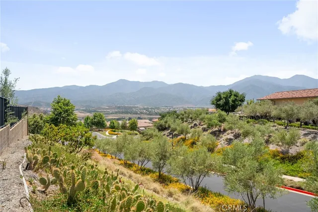 a view of a mountain in the distance in a garden
