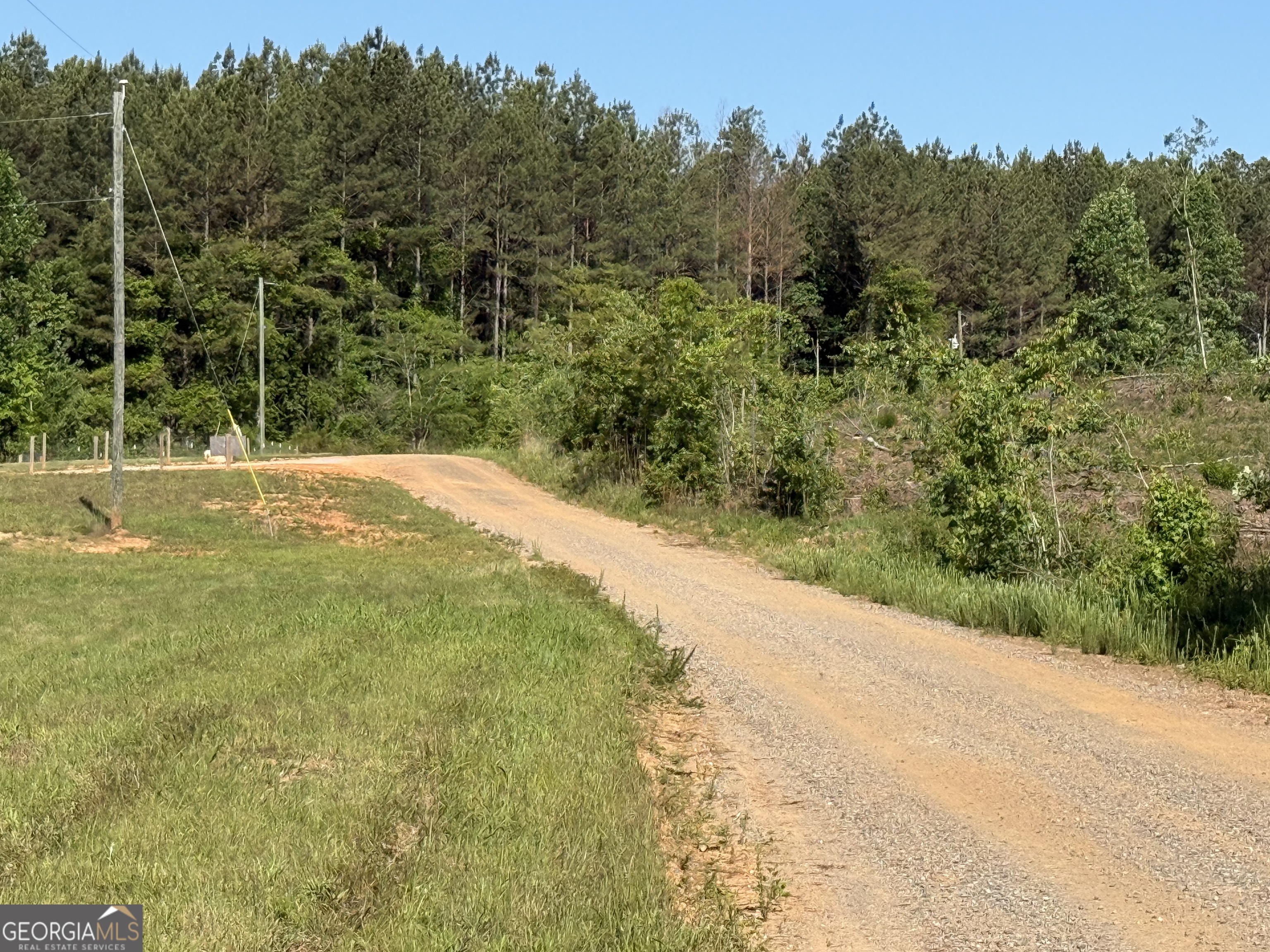 1185 County Road 402 Fruithurst, AL 36262 - Photo 8 of 54