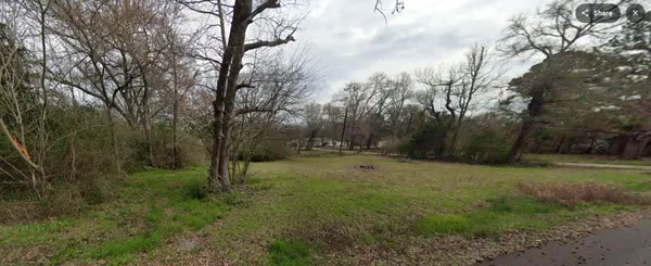 a view of a tree in a field