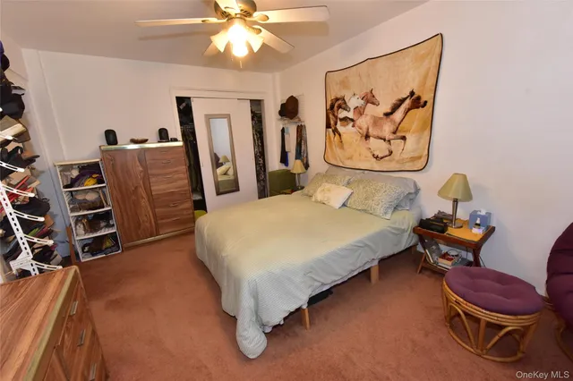 a bedroom with a bed and closet