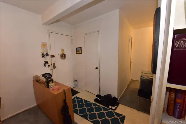 a room with furniture and a potted plant