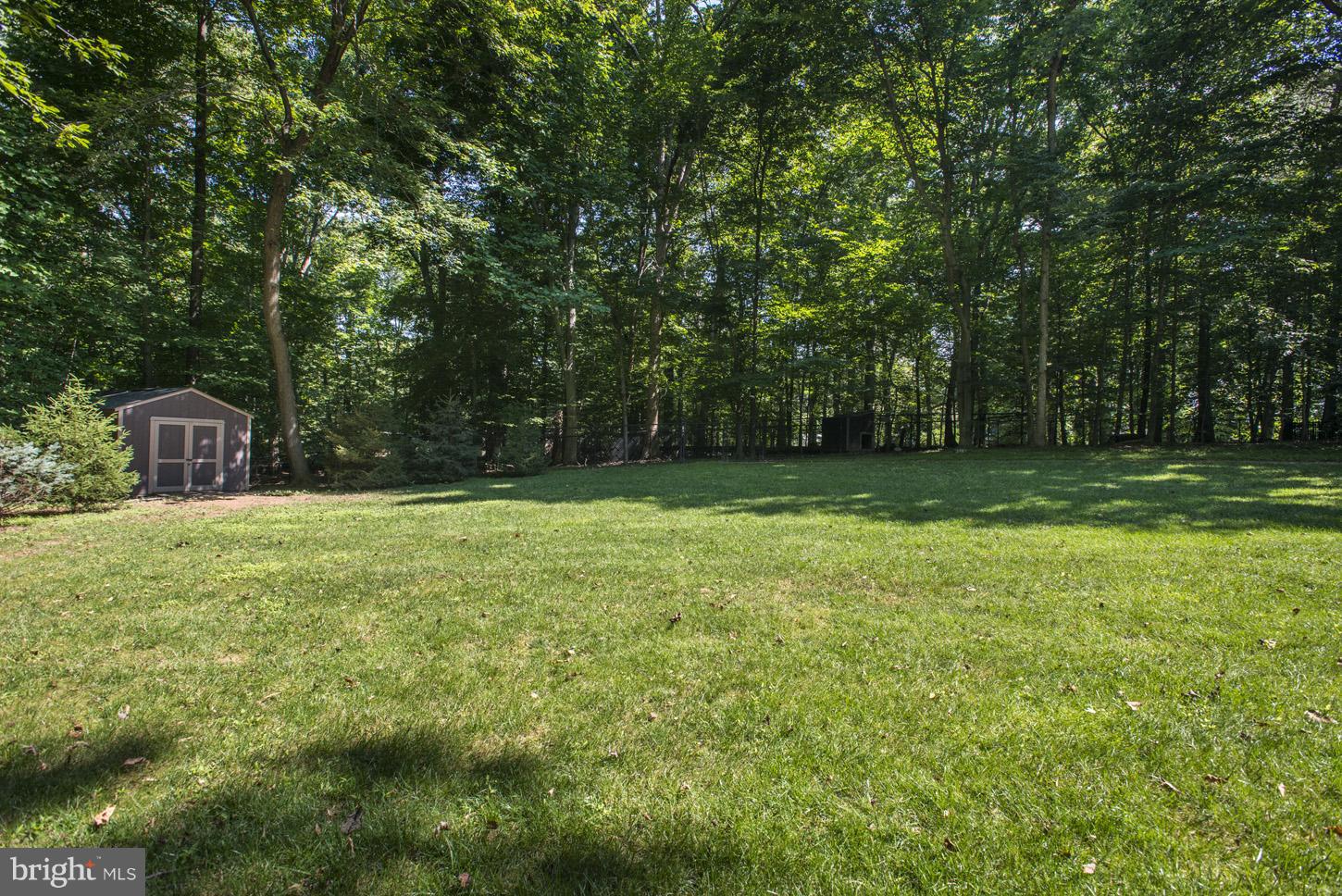 312 Runner Road Great Falls, VA 22066 - Photo 30 of 30 Large Green Space in Rear Yard