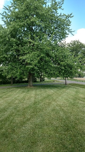 1465 West 750 North Decatur, IN 46733 - Photo 7 of 33 Gallery Image 7