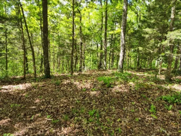 $89,000 | 0 Froest Trail, Celina, TN 38551