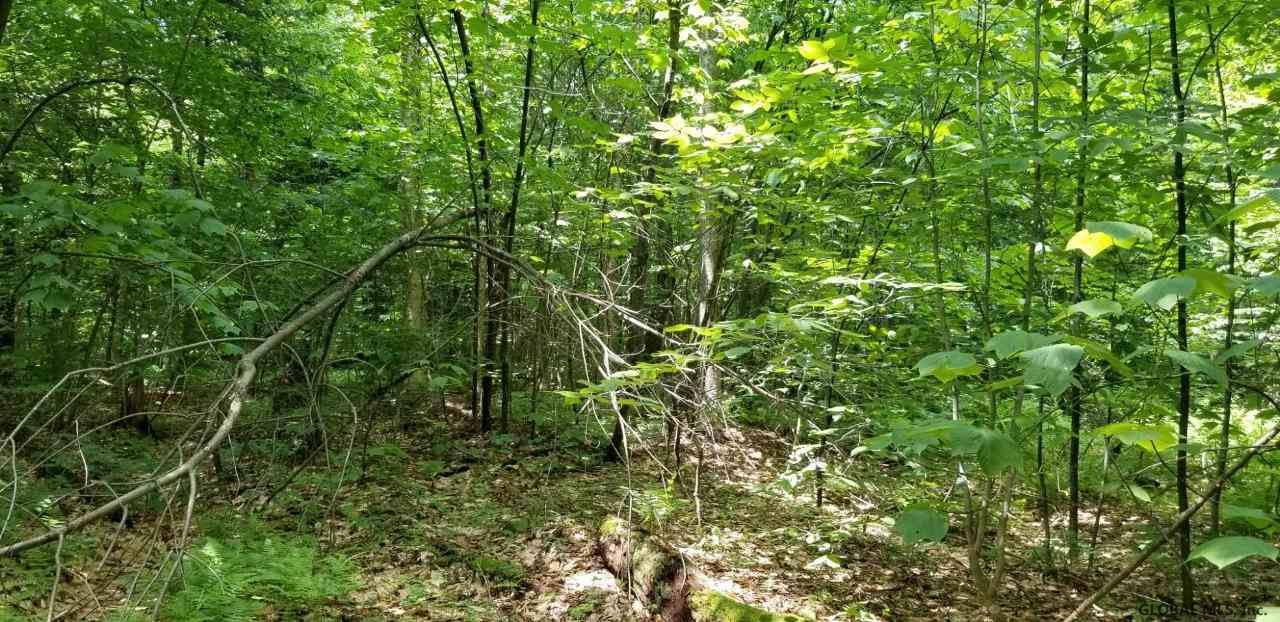 13 Wileytown Road Middle Grove, NY 12850 - Photo 5 of 5 Photo 5