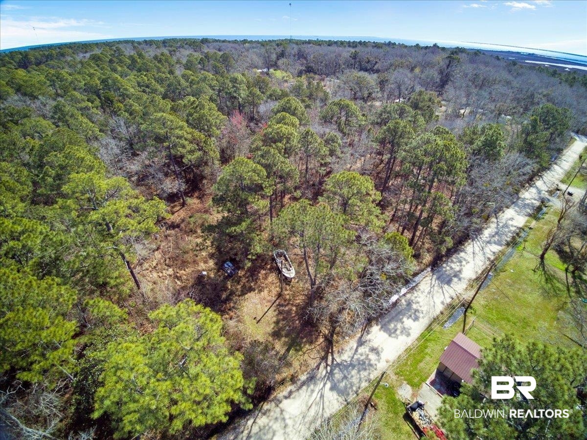 16045 Williams Street Coden, AL 36523 - Photo 14 of 15 Bird's eye view with a wooded view