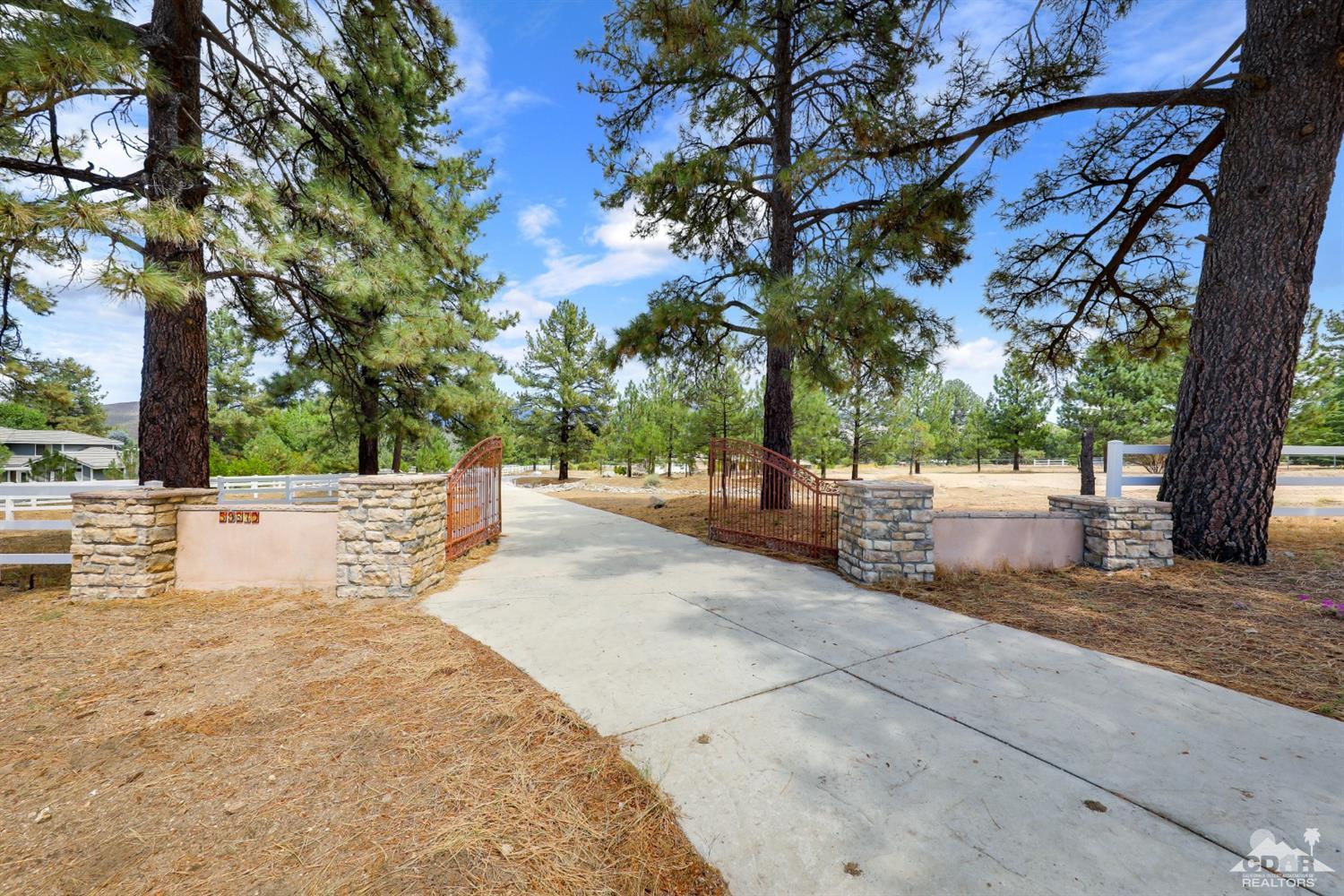 59870 Devils Ladder Road Mountain Center, CA 92561 - Photo 3 of 31 a view of a yard with plants and trees