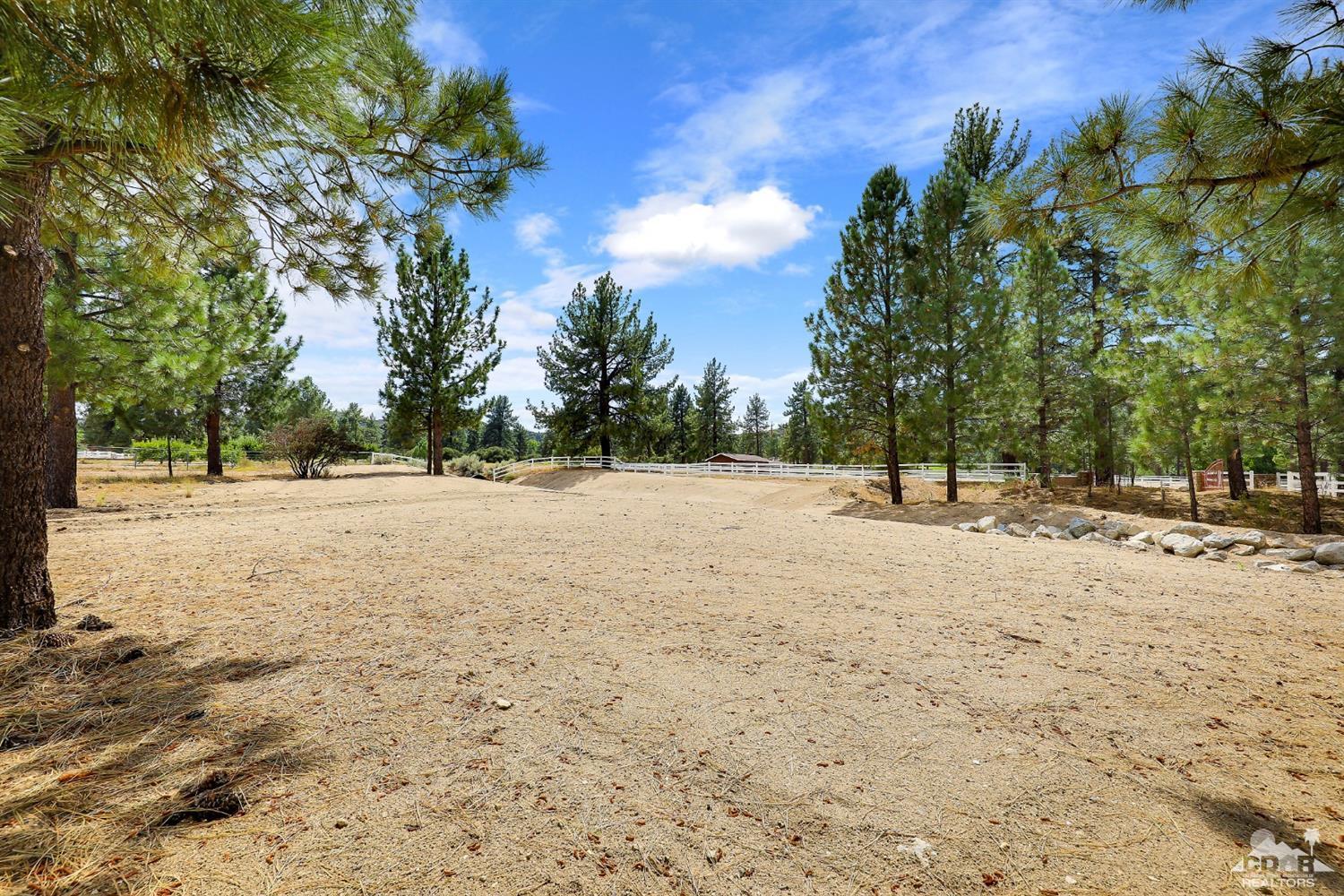 59870 Devils Ladder Road Mountain Center, CA 92561 - Photo 27 of 31 a view of open space with trees