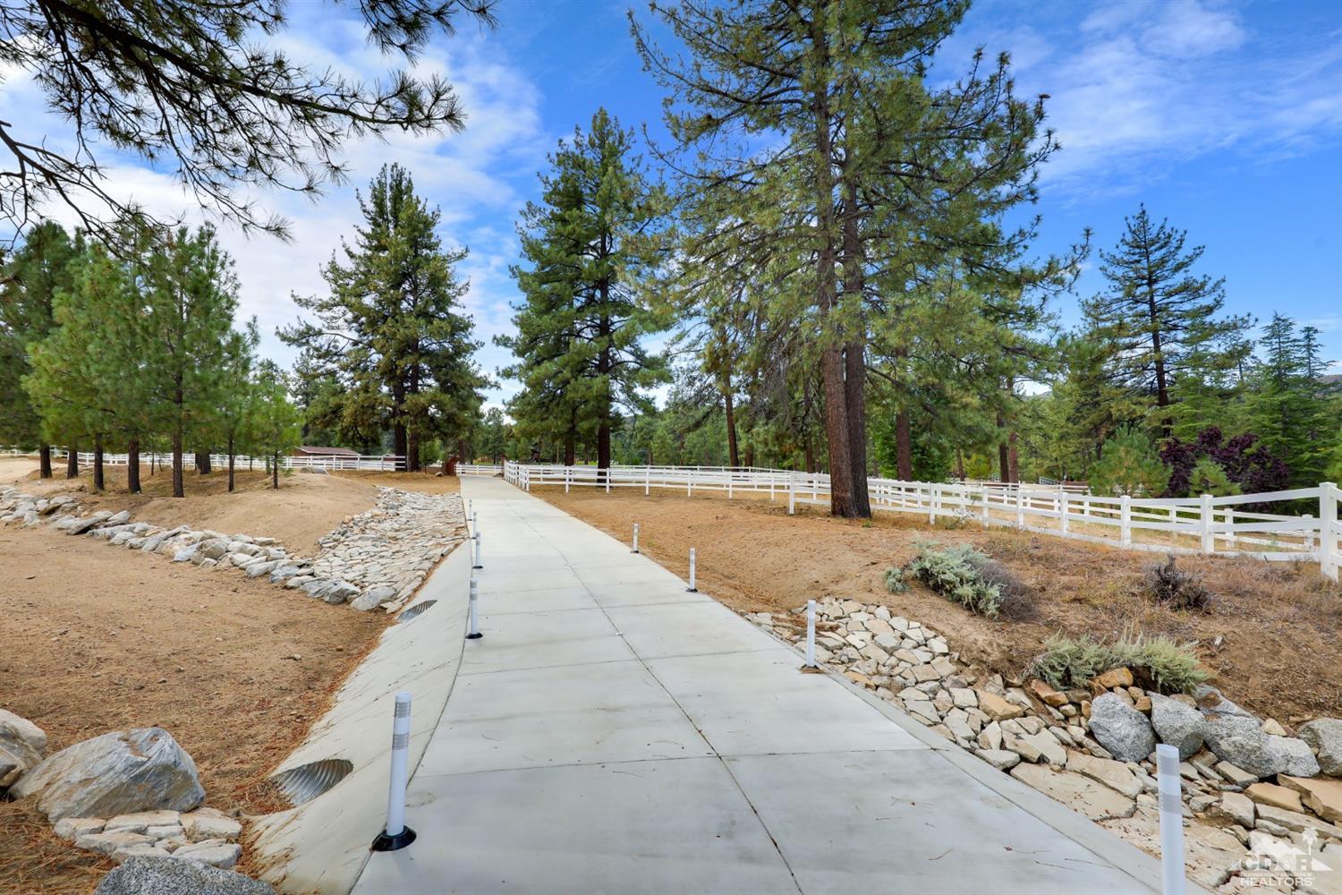 59870 Devils Ladder Road Mountain Center, CA 92561 - Photo 4 of 31 a view of road with trees
