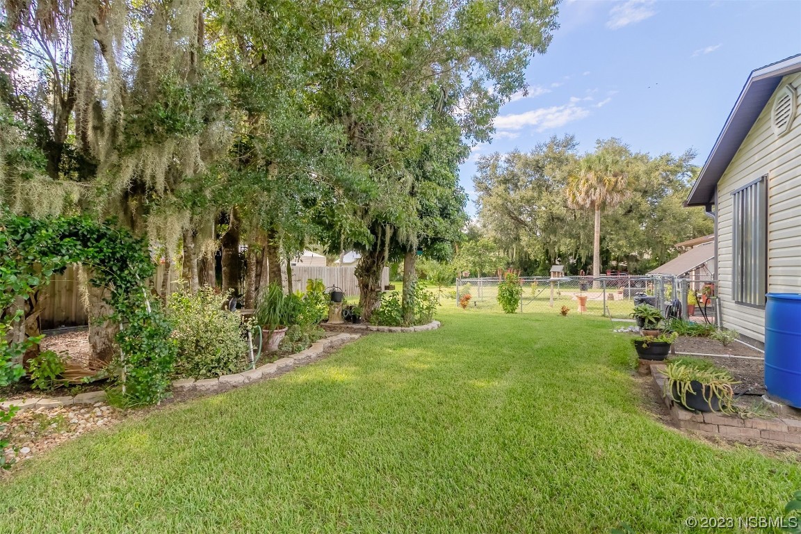 2804 Mango Tree Drive Edgewater, FL 32141 - Photo 26 of 29 a view of a park with large trees