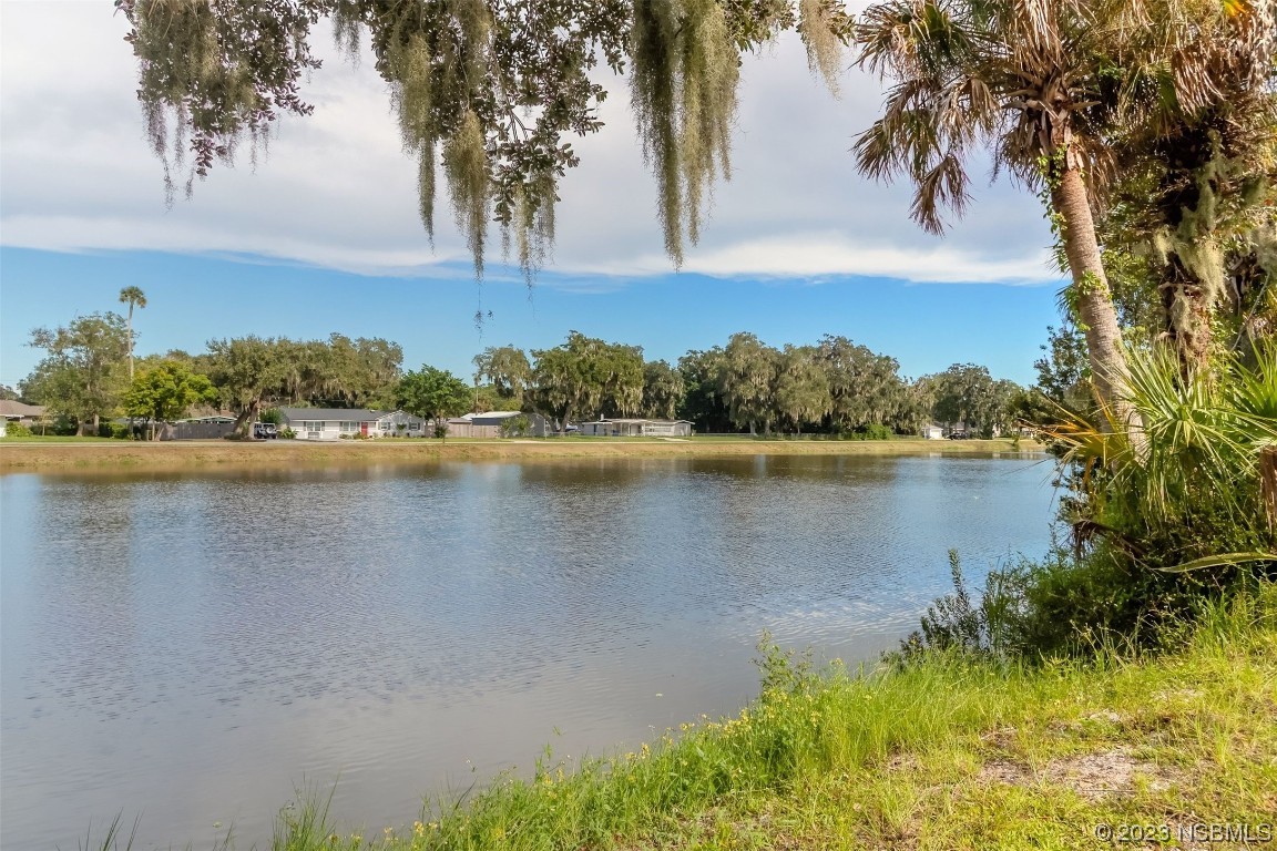 2804 Mango Tree Drive Edgewater, FL 32141 - Photo 29 of 29 a view of lake with green space