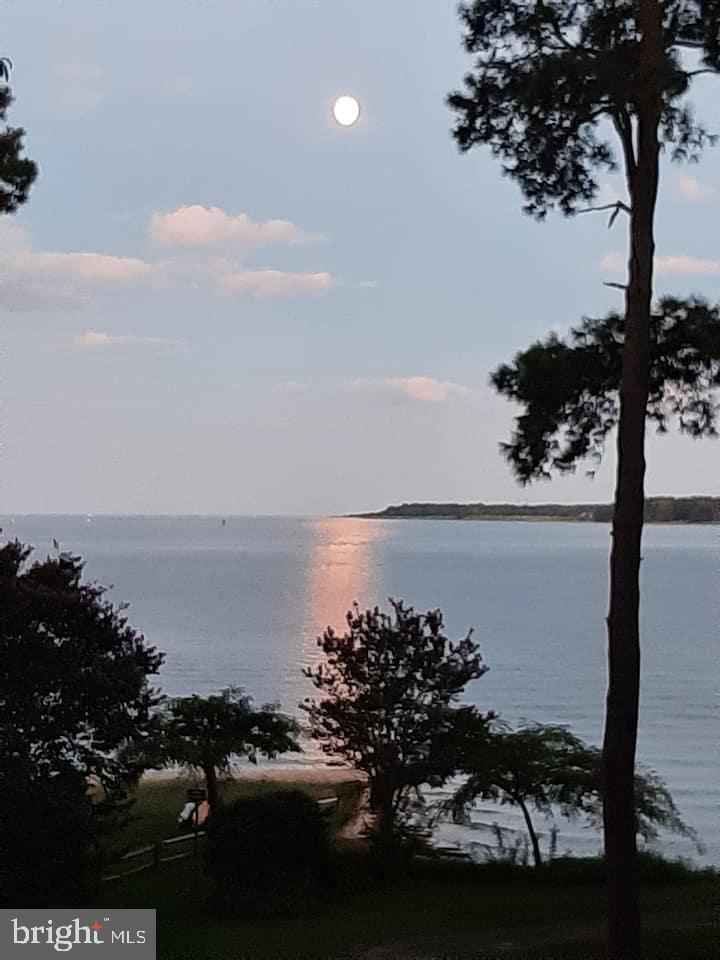 12964 Pine Place Lusby, MD 20657 - Photo 34 of 63 The best kind of moonshine!