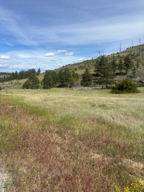 147 Haystack Coulee Road Reed Point, MT 59069 - Photo 9 of 15 Gallery Image 9