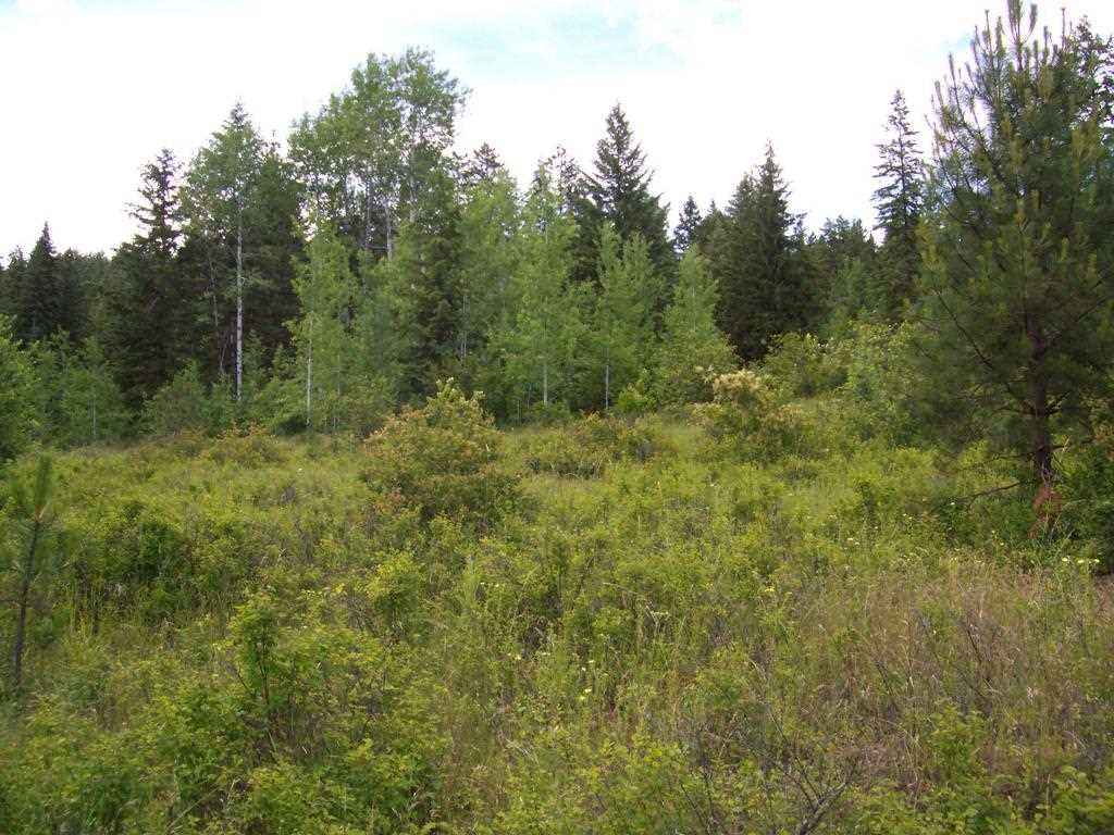 216 Anderson Road Kettle Falls, WA 99141 - Photo 1 of 9 Gallery Image 1