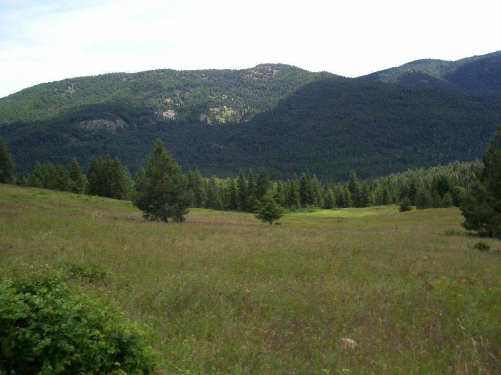 216 Anderson Road Kettle Falls, WA 99141 - Photo 4 of 9 Gallery Image 4