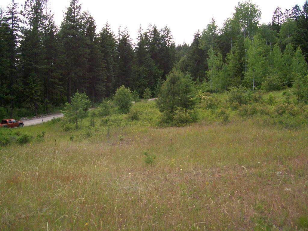 216 Anderson Road Kettle Falls, WA 99141 - Photo 5 of 9 Gallery Image 5