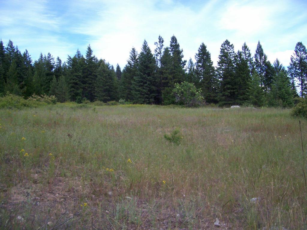 216 Anderson Road Kettle Falls, WA 99141 - Photo 7 of 9 Gallery Image 7