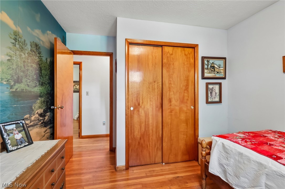 2428 Antioch Road Perry, OH 44081 - Photo 27 of 46 Warm wood-finish flooring throughout