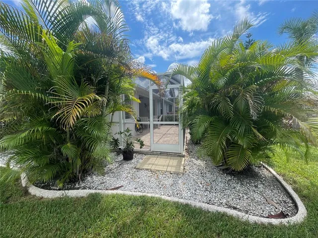 a view of a yard with plants and large trees