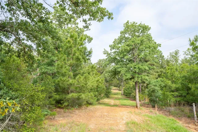 a view of a field with trees in the background