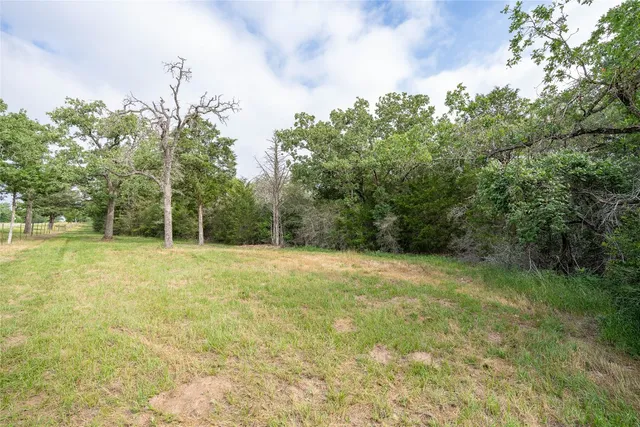 a view of a yard with a trees