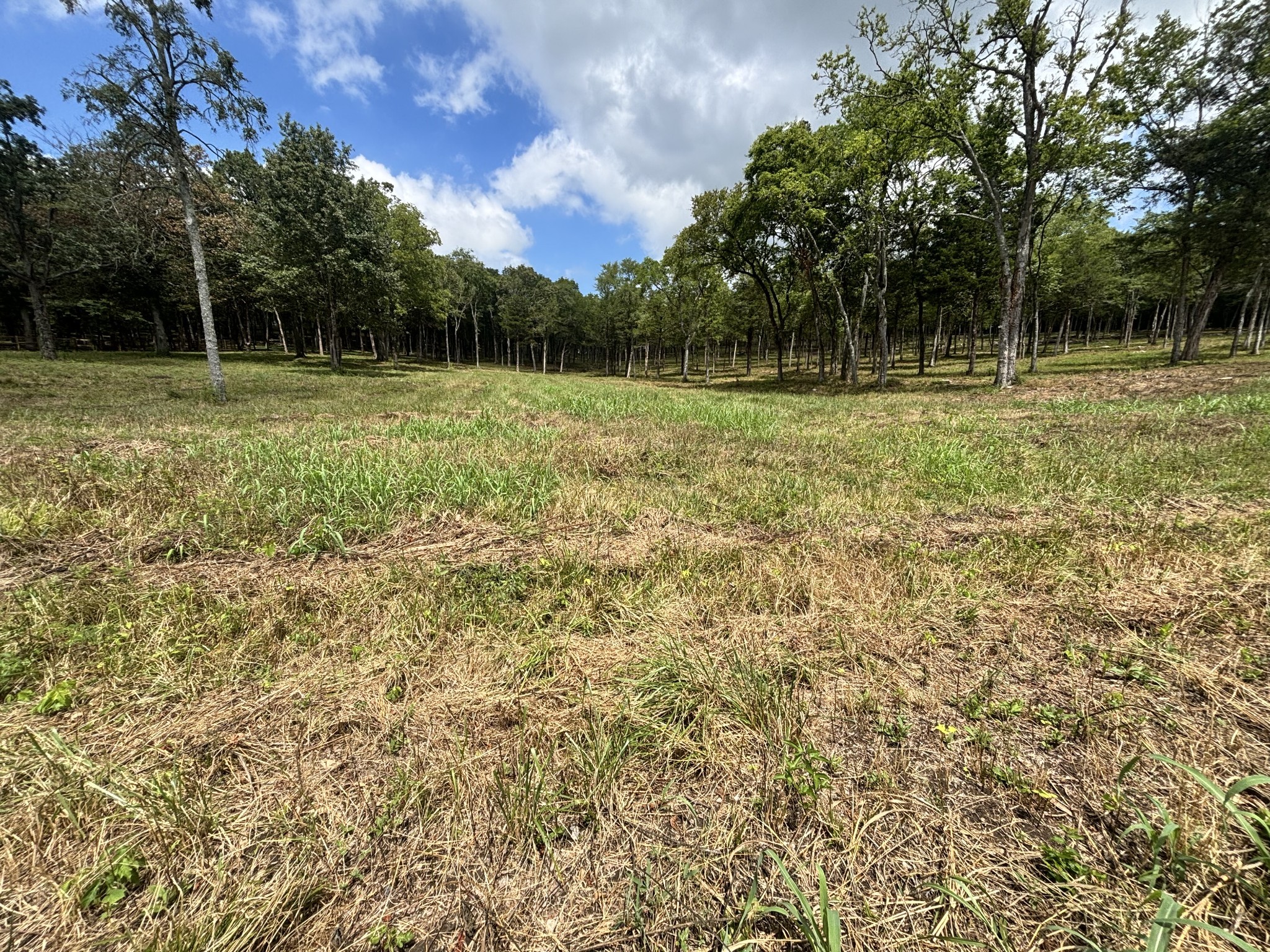 9205 Bowles Road Rockvale, TN 37153 - Photo 34 of 54 Gallery Image 34
