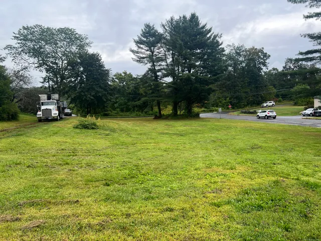 a view of a tree in a yard