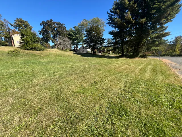 a view of yard with green space