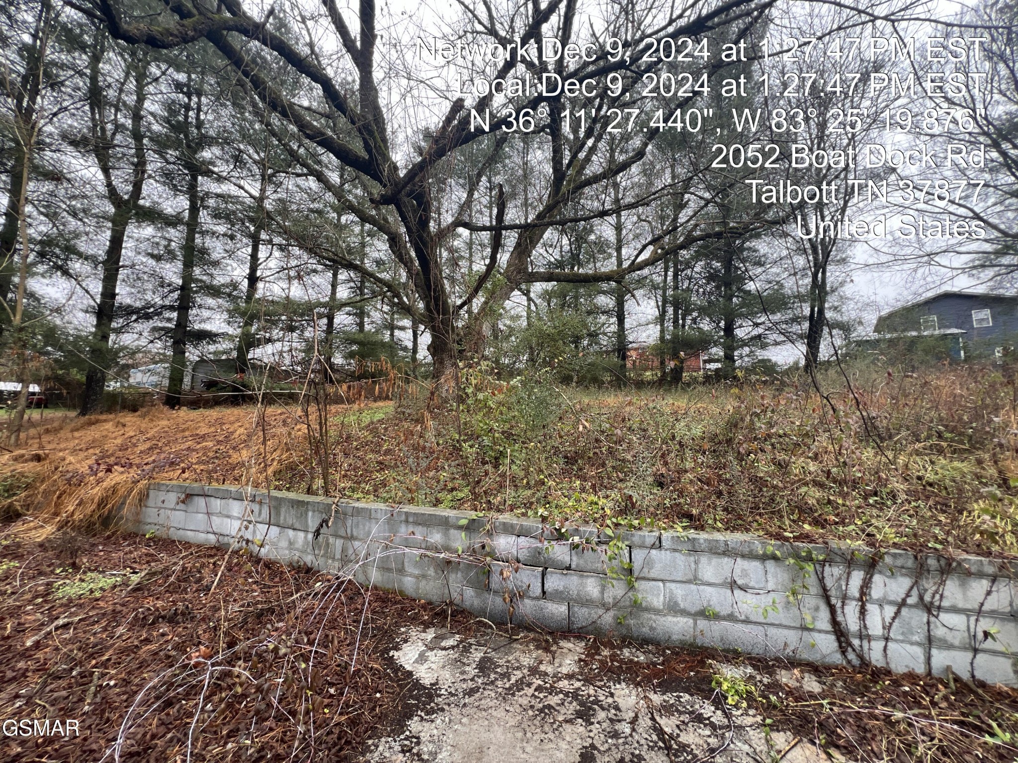 2052 Boat Dock Road Talbott, TN 37877 - Photo 13 of 23 Gallery Image 13