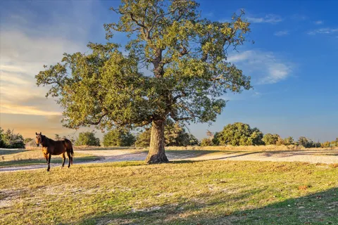 $7,599,000 | 900 Farm To Market 1948, Brenham, TX 77833
