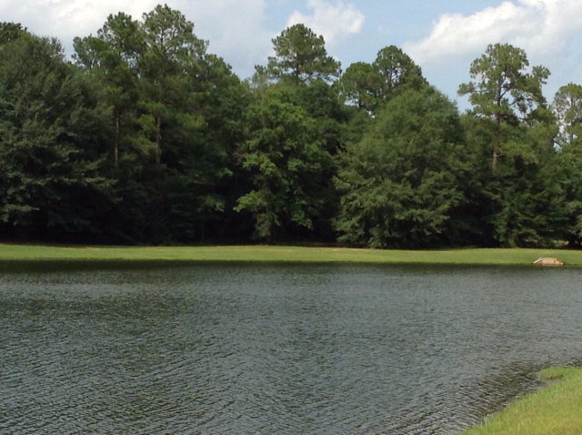 103 Summerleaf Way Dothan, AL 36303 - Photo 1 of 1