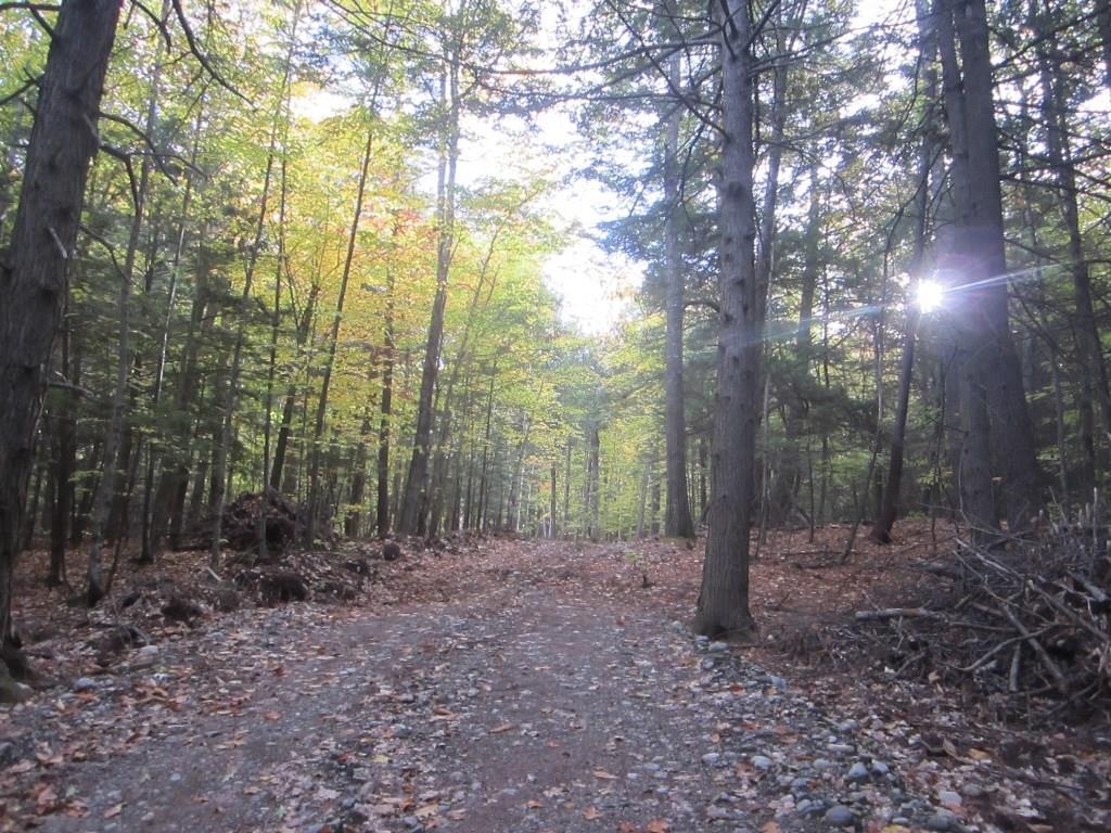 24 Pine Tree Road Litchfield, ME 04350 - Photo 7 of 35 Photo