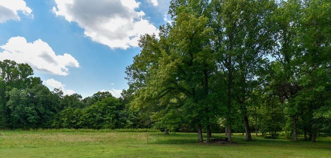 1754 Vesta Road Lebanon, TN 37090 - Photo 33 of 37 a view of a park with large trees