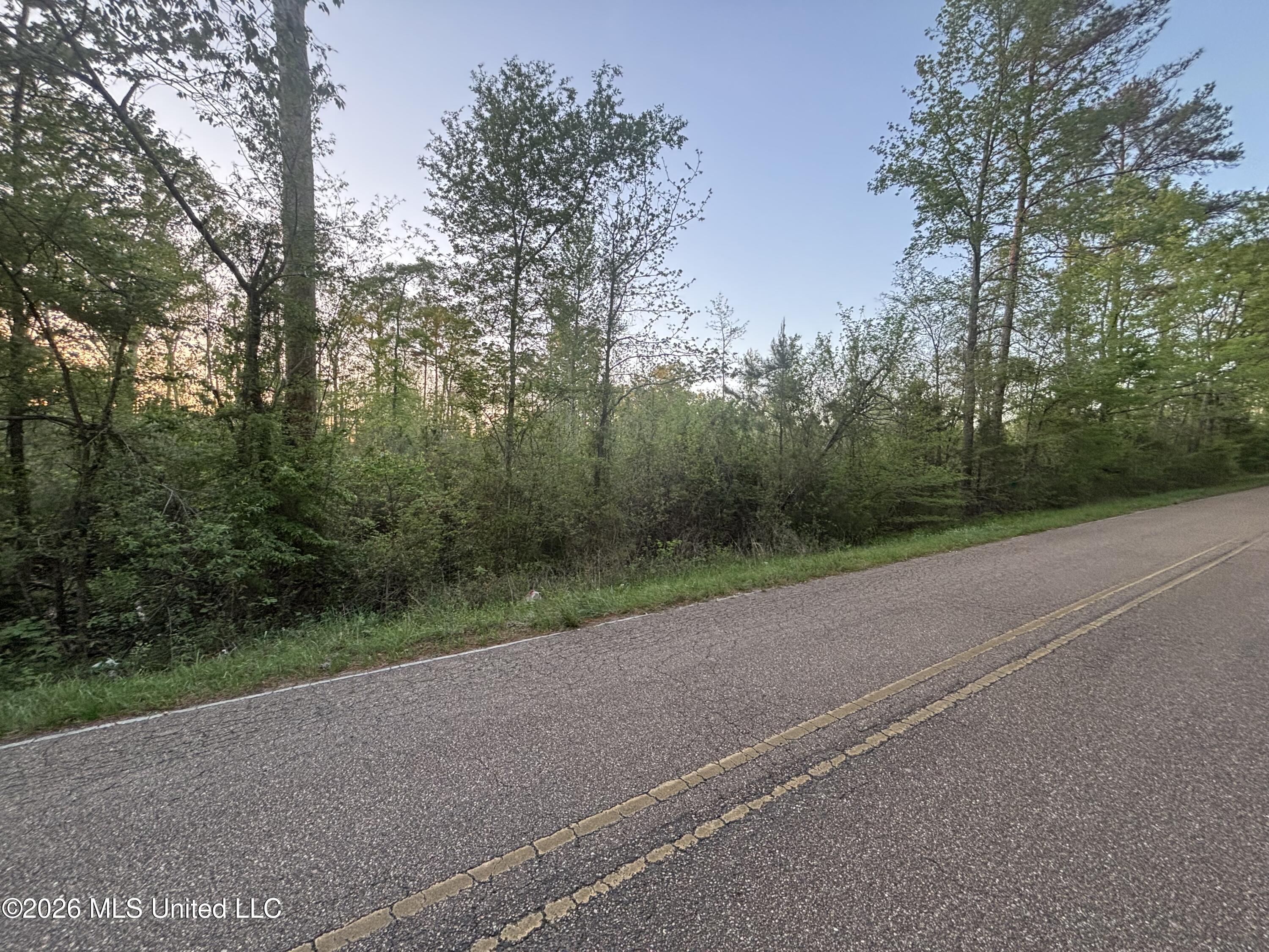 0 Newman Road Edwards, MS 39066 - Photo 12 of 18 IMG_3348